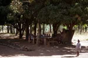 600 pupils learn under trees